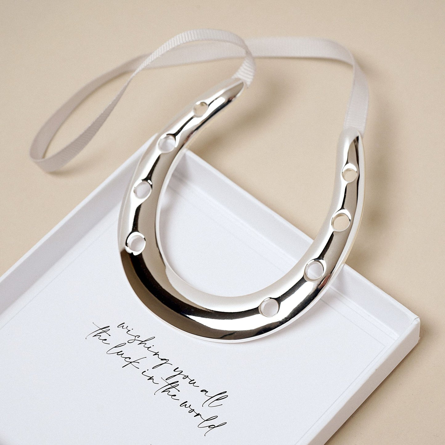 Amore Silverplated Horse Shoe