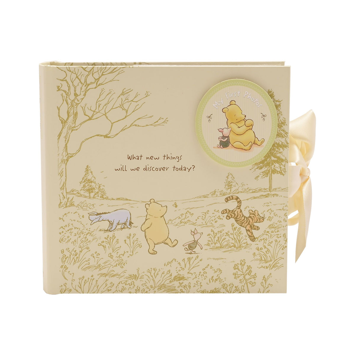 Disney Classic Pooh Heritage Photo Album/Box My First Photos