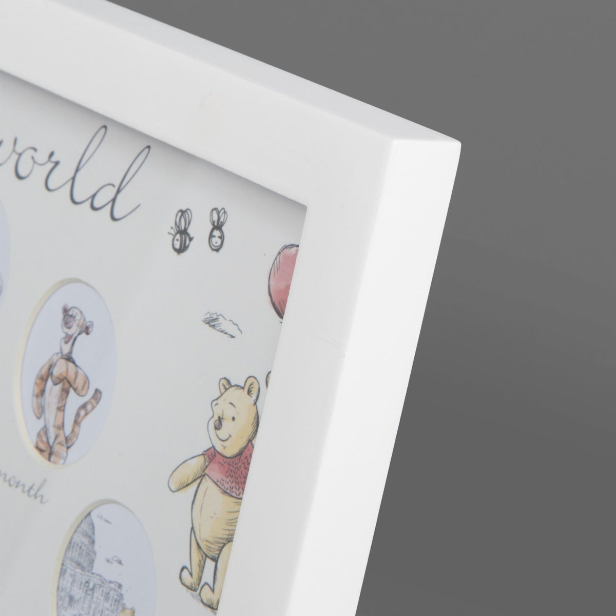 Disney Christopher Robin First Year Multi Aperture Frame