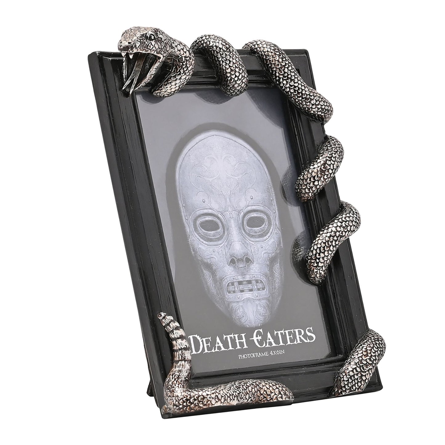 Warner Bros Harry Potter Dark Arts Frame - Nagini