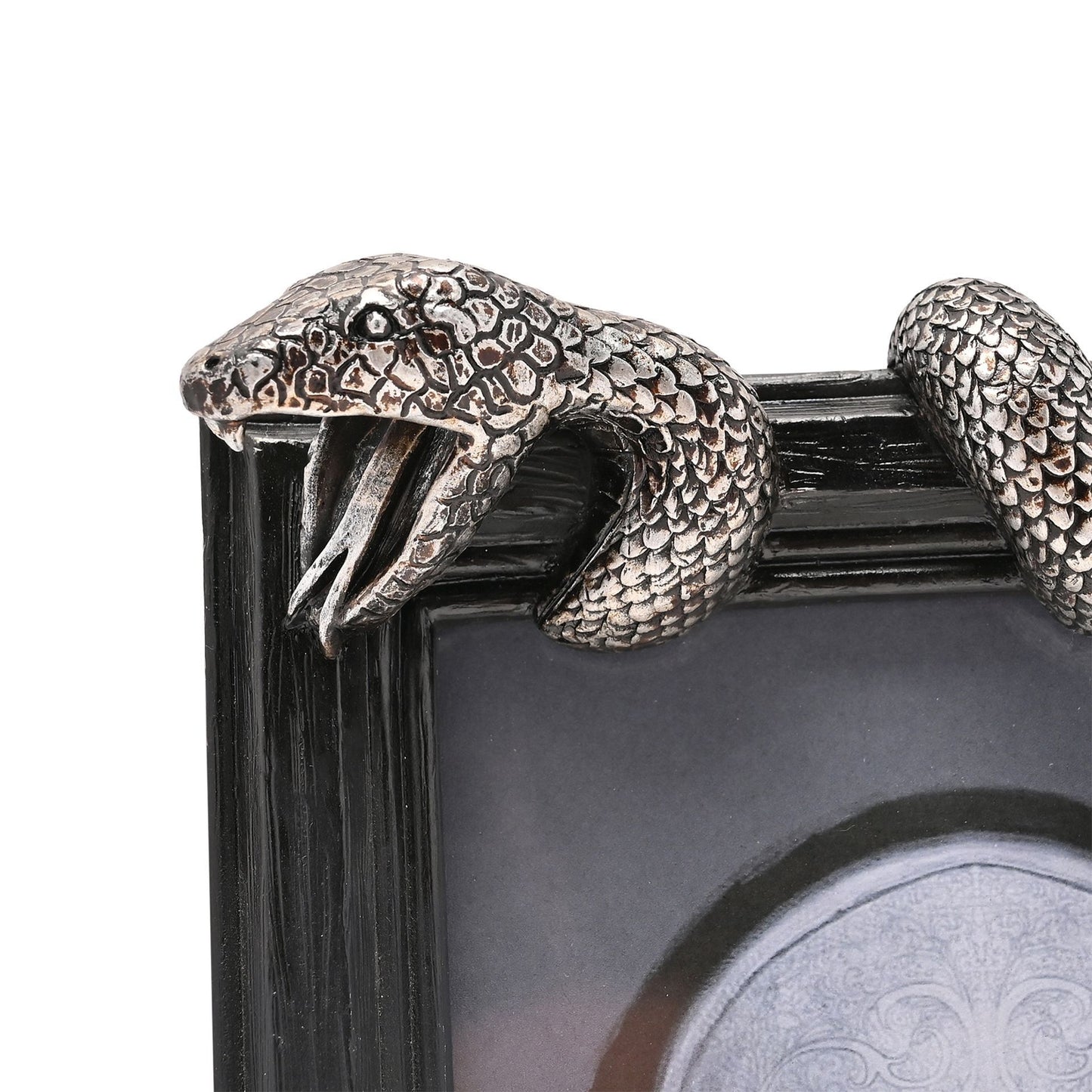 Warner Bros Harry Potter Dark Arts Frame - Nagini