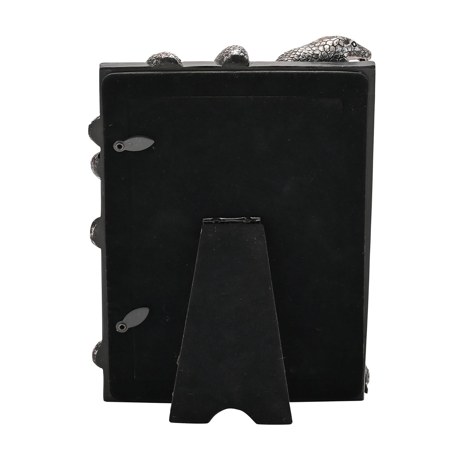 Warner Bros Harry Potter Dark Arts Frame - Nagini