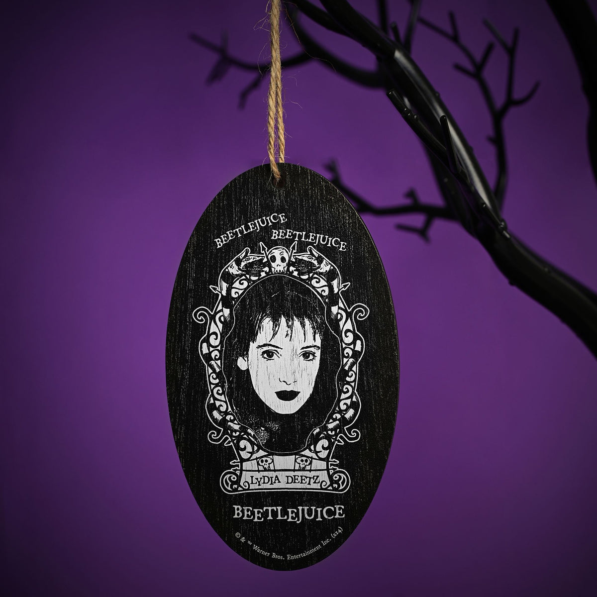 Warner Bros Beetlejuice Oval Hanging Decoration - Lydia